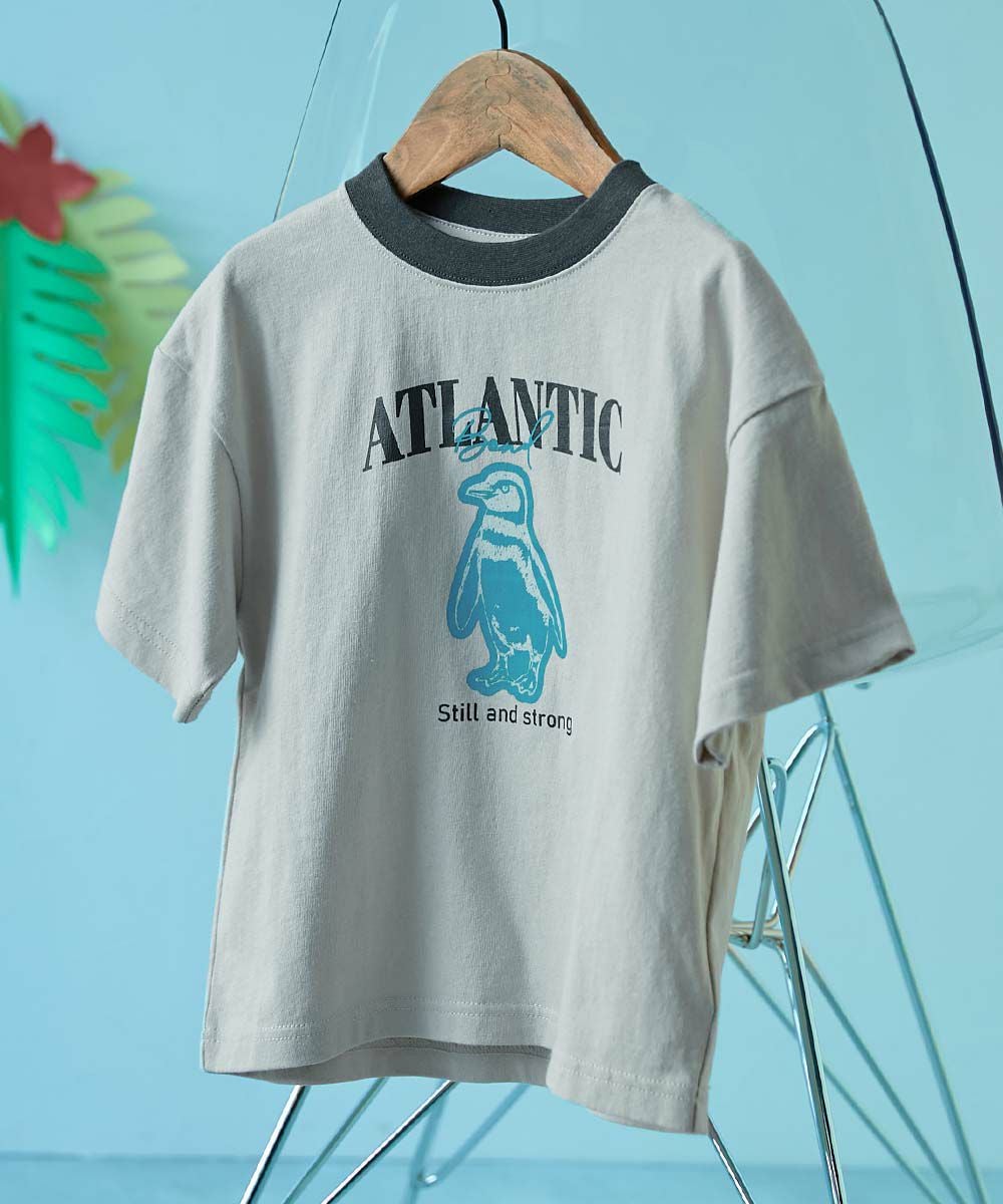 SPECIAL SALE 10%OFF】綿100% デビラボ×【アニマルカレッジ】 BIG